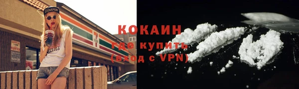 мяу мяу мука Бородино