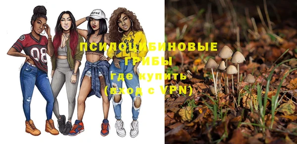бошки Ступино